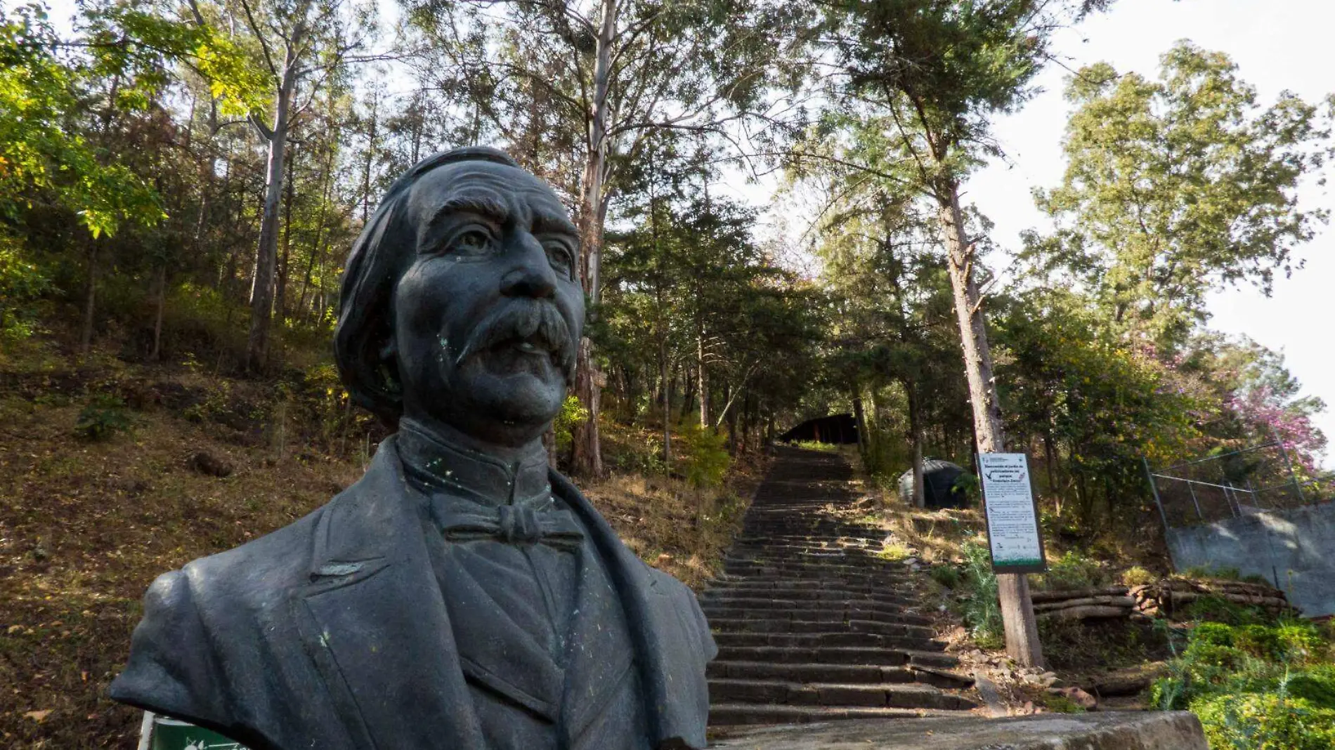 Busto Francisco Zarco